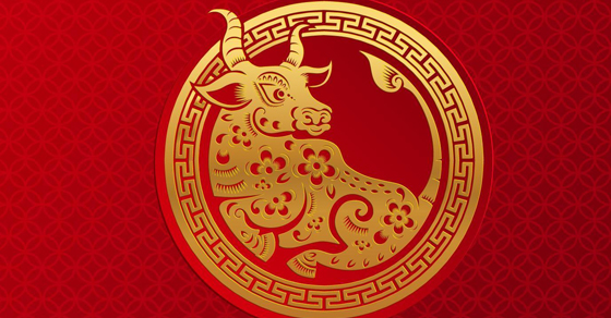 Hướng dẫn cách xem tuổi xông đất Tết 2021 bằng ứng dụng cực dễ